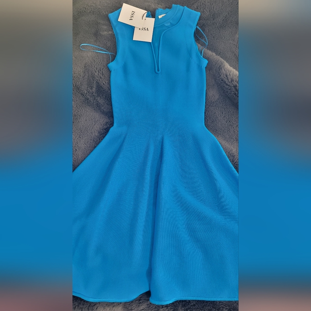 ISSA blue dress
